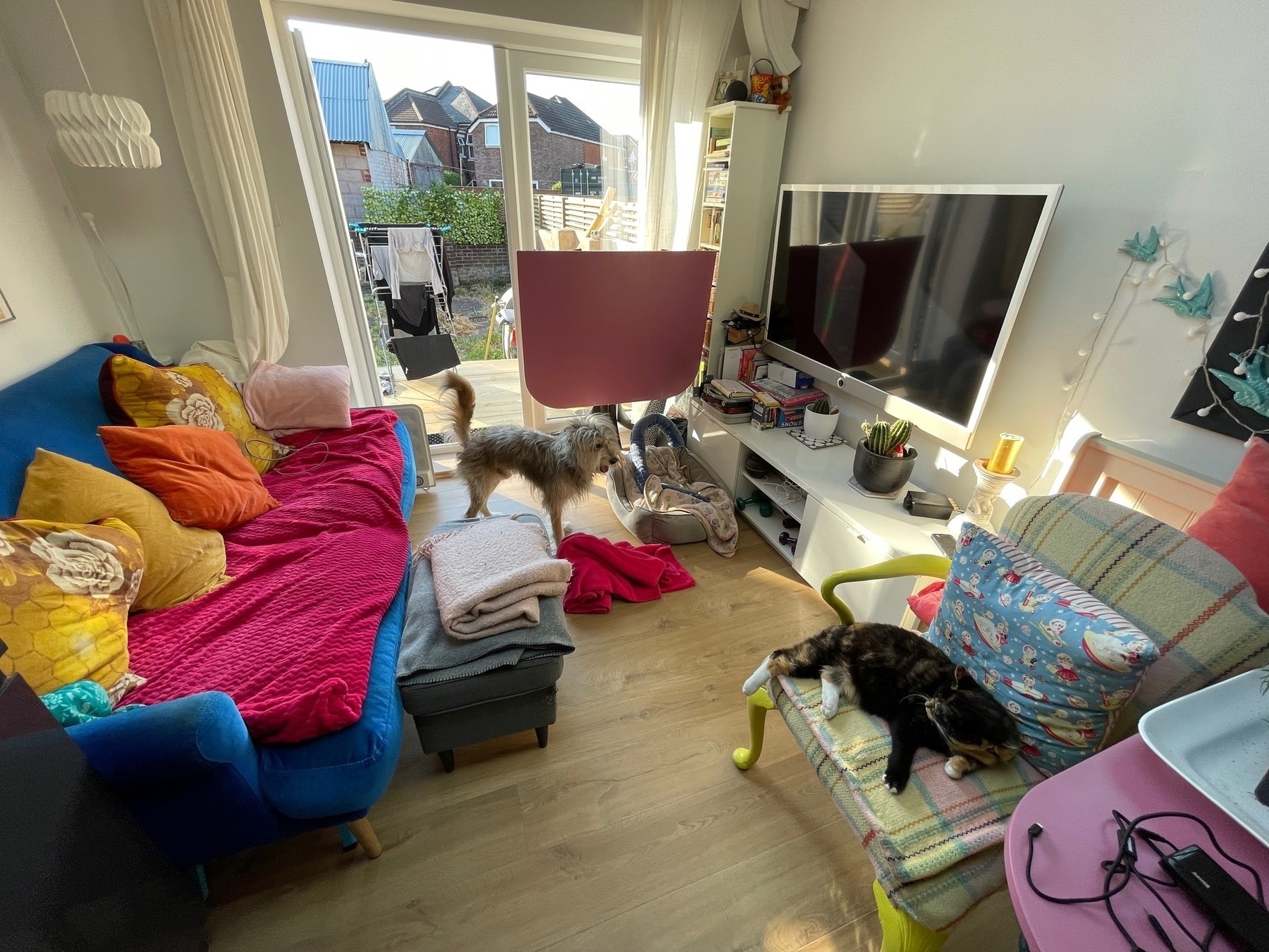 Monty the dog and tails the cat try to stay cool in the kitchen 