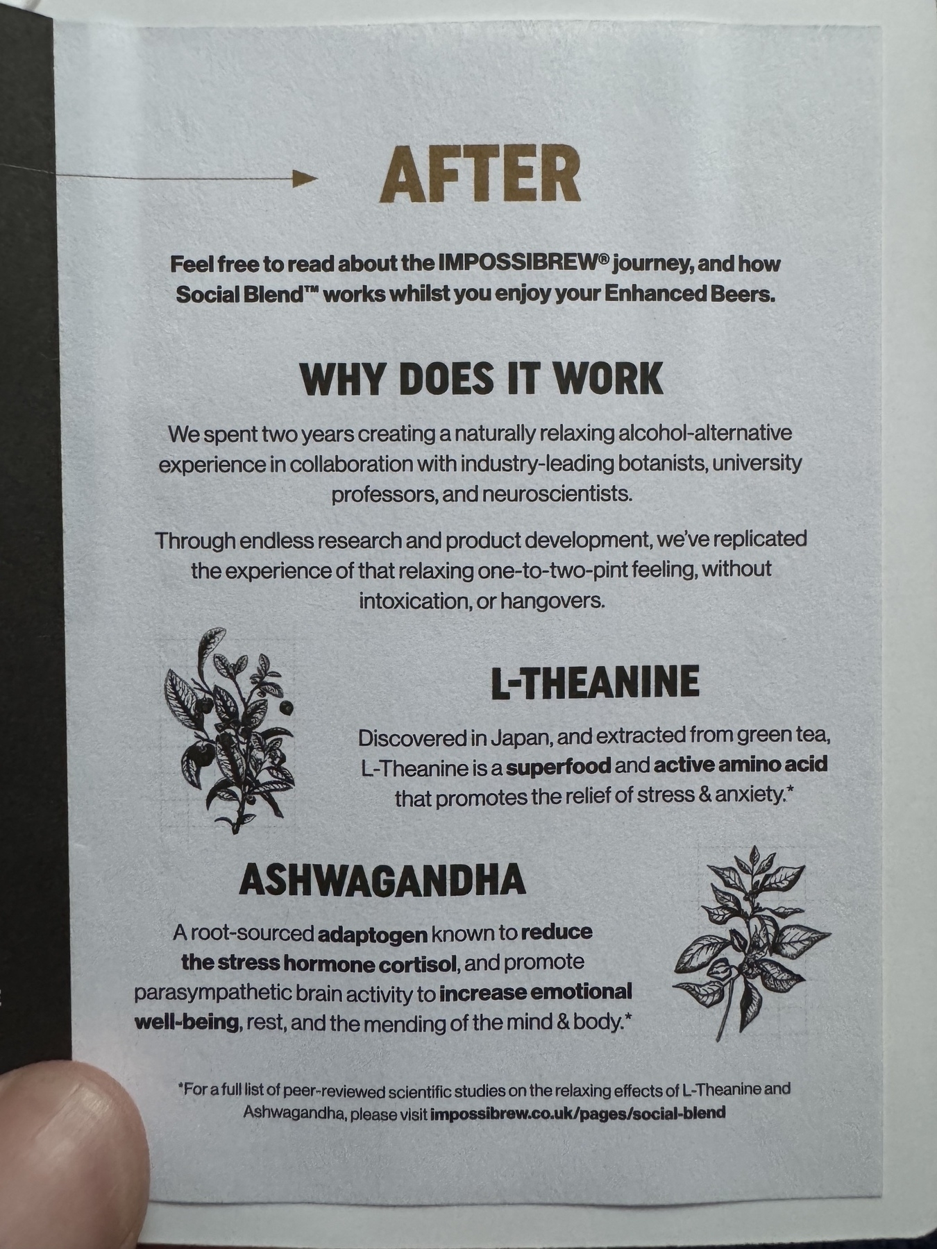 Image of the pamphlet explaining how it works by including L-Theanine and Ashwagandha in the brewing process 