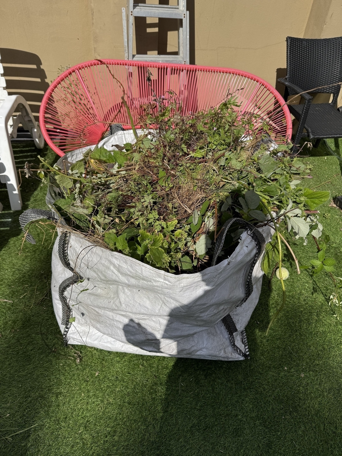 Slowly filling up garden waste bag as I try to return some order to the garden 🤣
