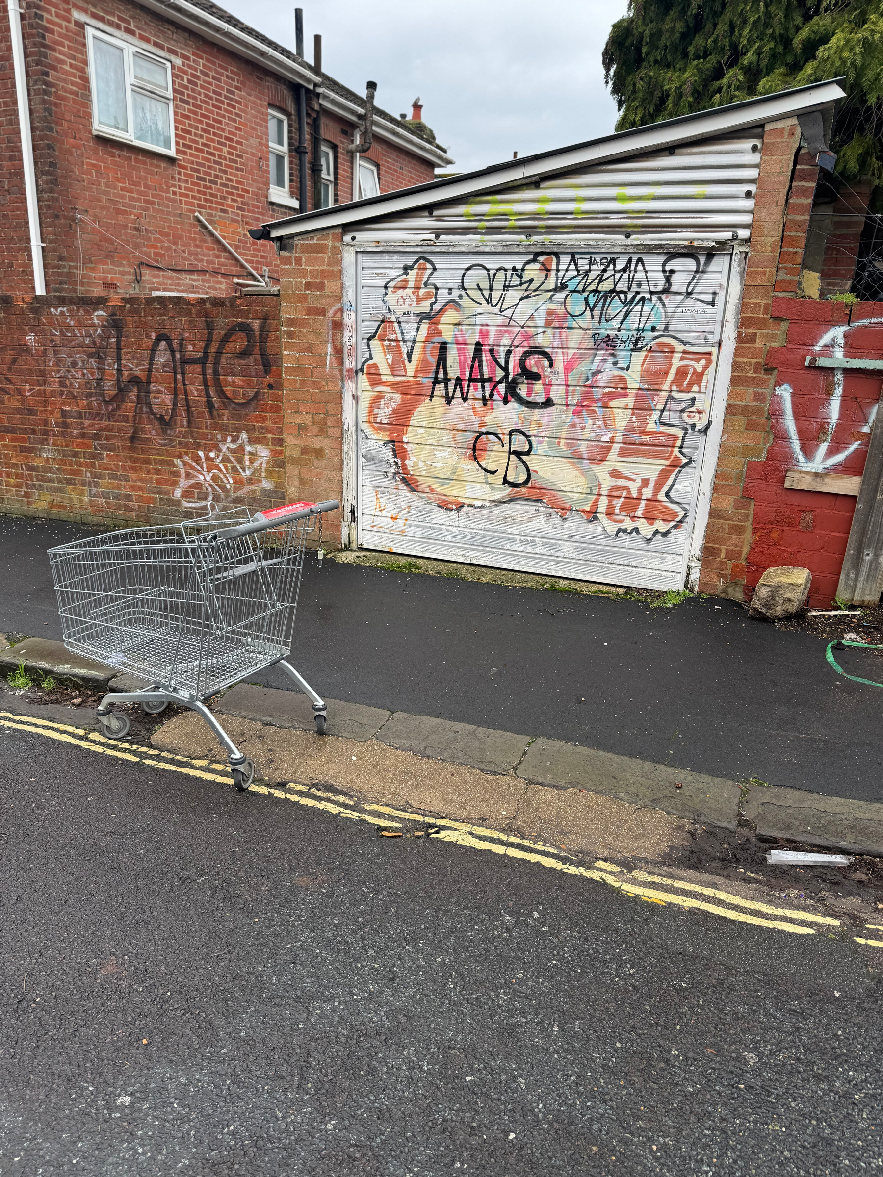 A shopping cart is abandoned on the side of a street near a graffiti-covered garage door.