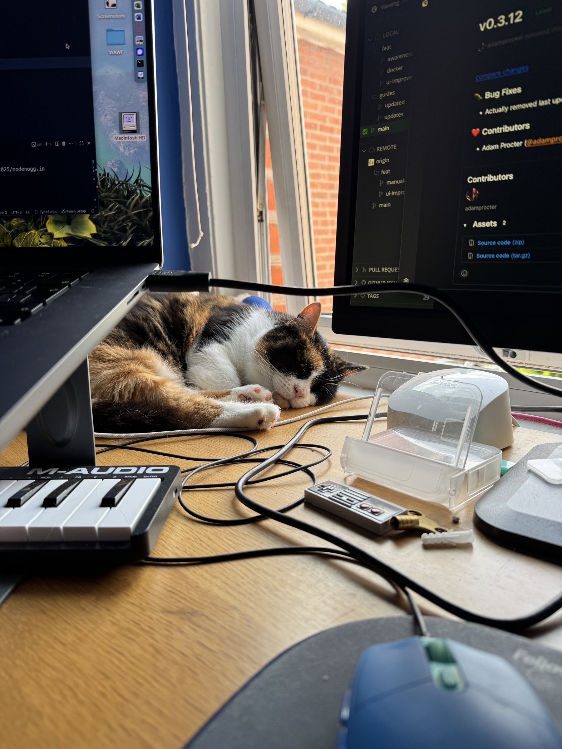 Rosie the cat is sleeping on a desk surrounded by computer equipment and cables.