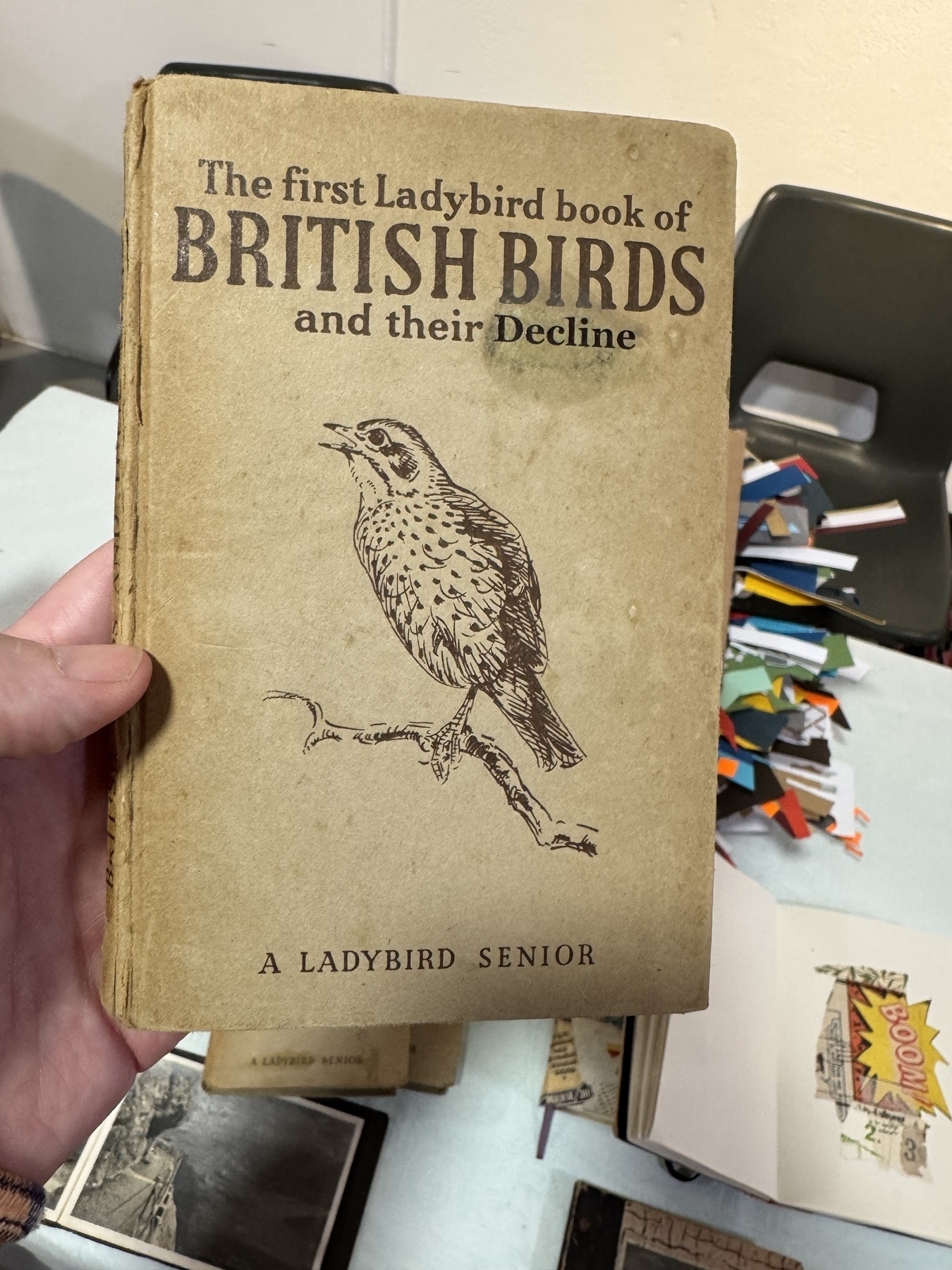 Photo of the front cover of the edited The first Ladybird Book of British Birds and their Decline