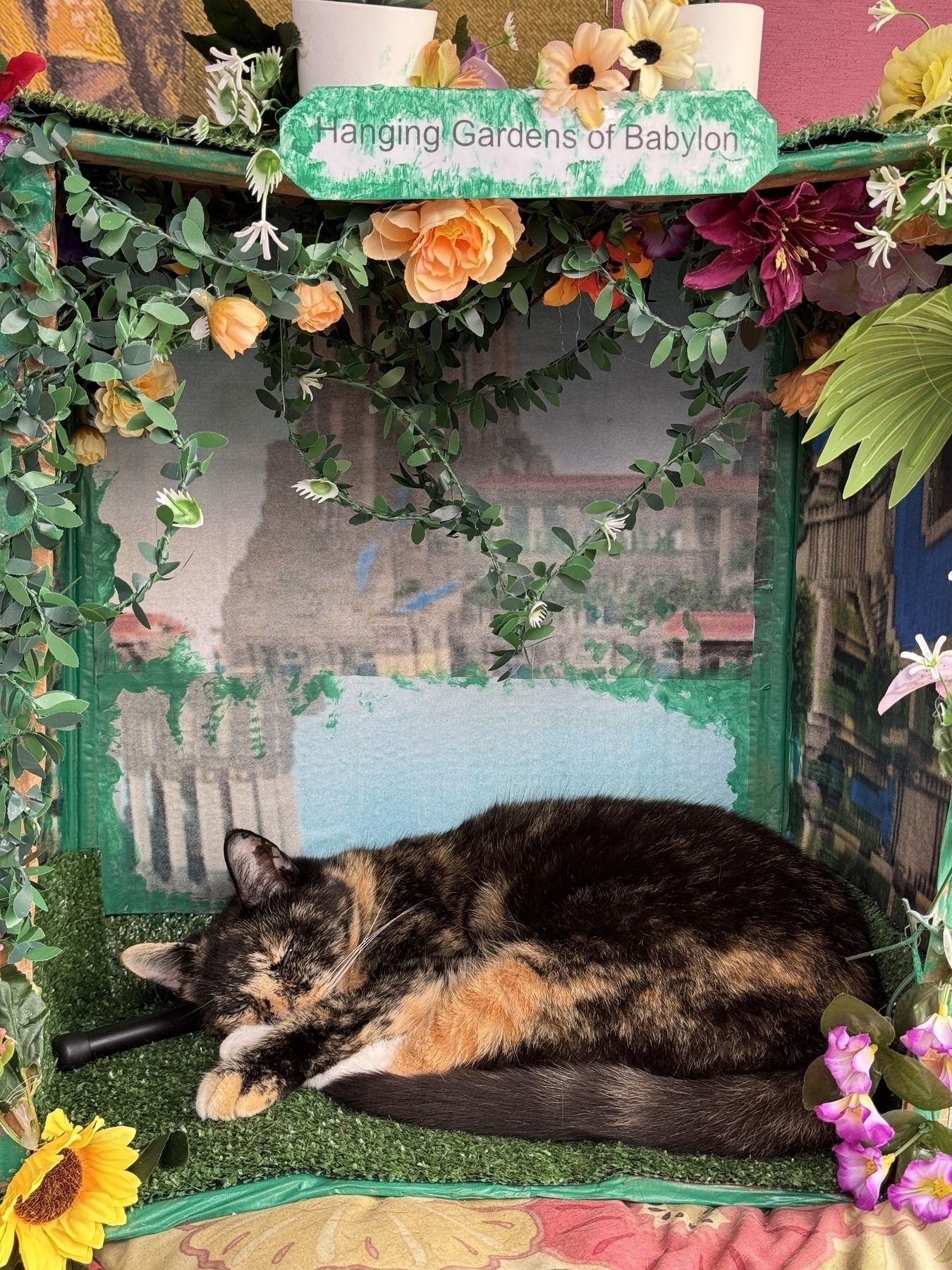 Cat sleeping in a cardboard box we have painted and added details to look like the Hanging gardens of Babylon for a crazy golf course we created for an engagement party