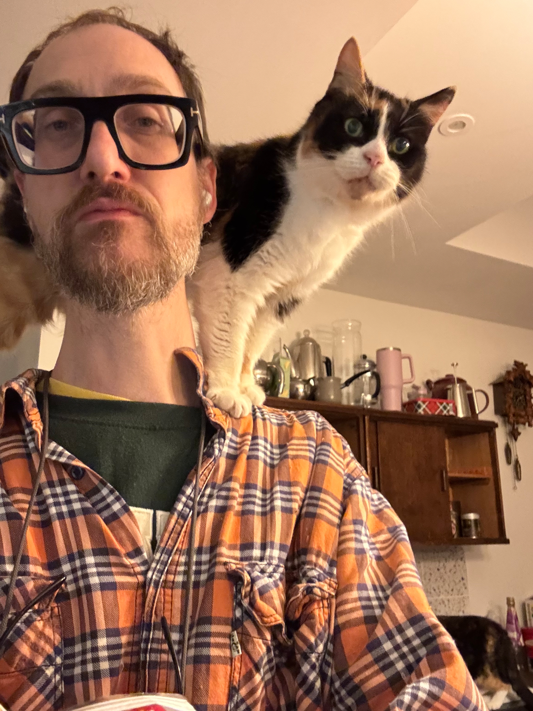 Photo of Adam wearing glasses and a checkered shirt while Rosie cat sits on his shoulder in a kitchen setting.