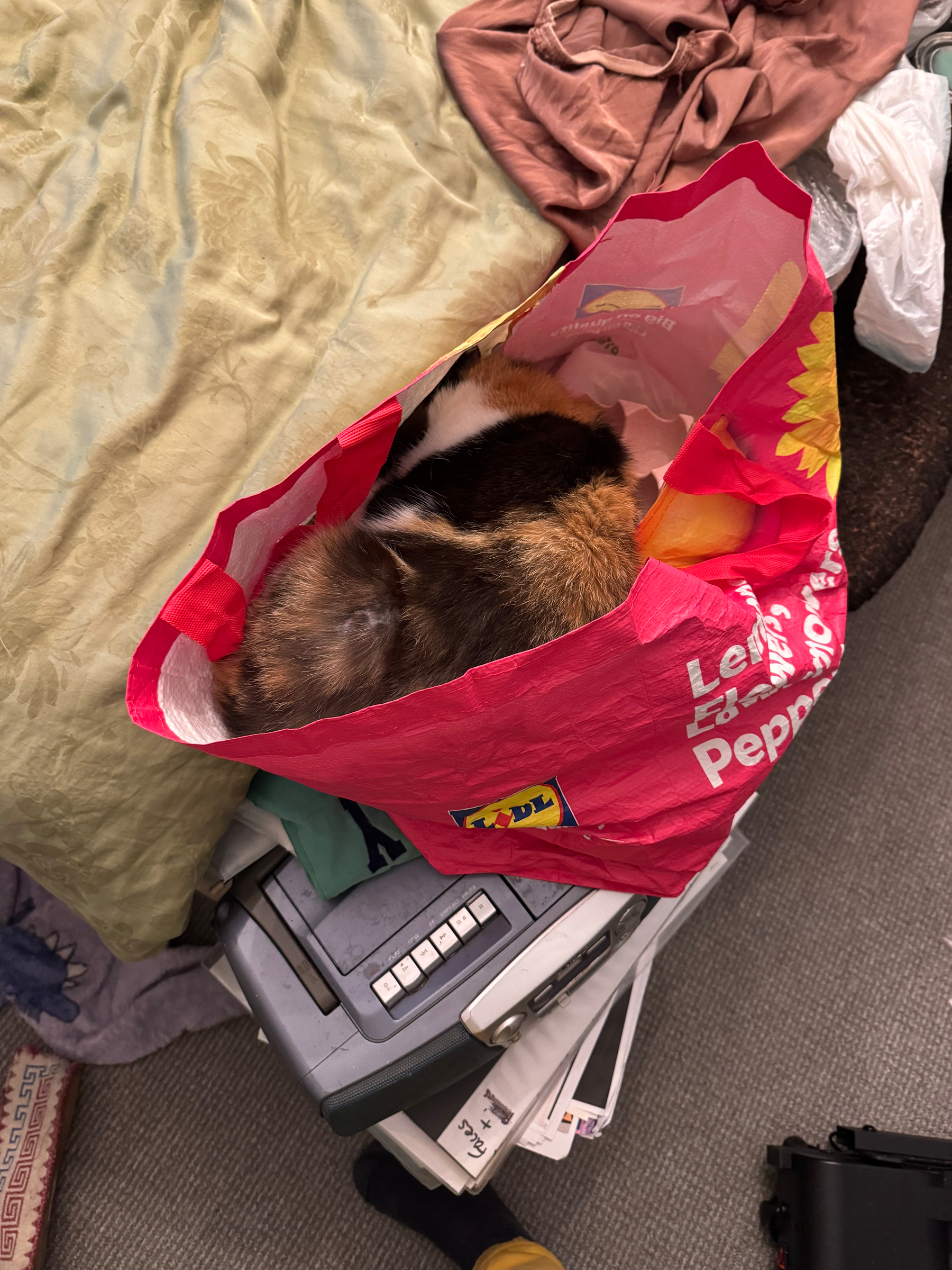 A cat is curled up inside a colorful shopping bag placed on top of a stack of household items.